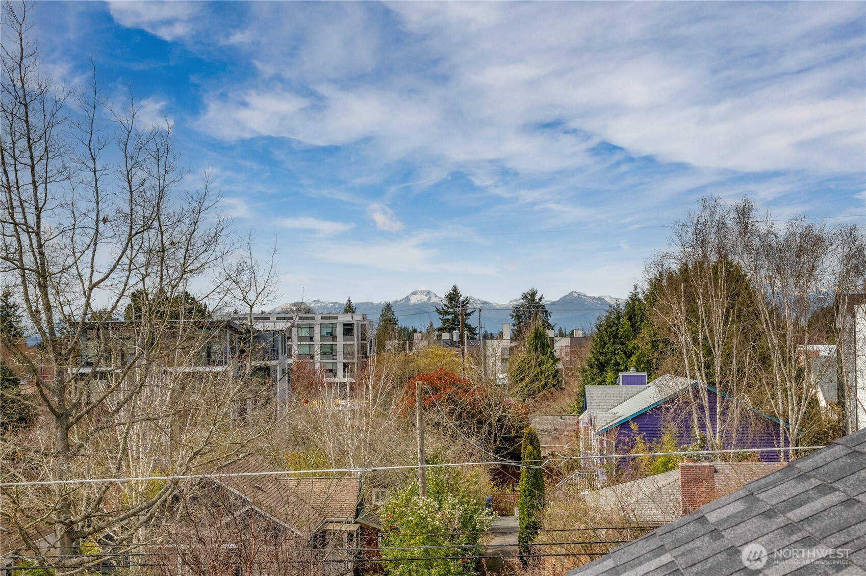 8324 14th Avenue NW, Seattle, WA 98117-4232