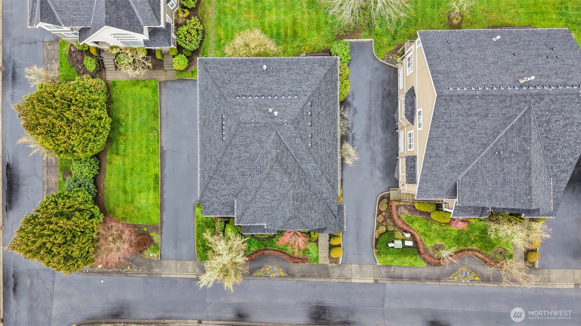 6731 161st Avenue SE #B, Bellevue, WA 98006