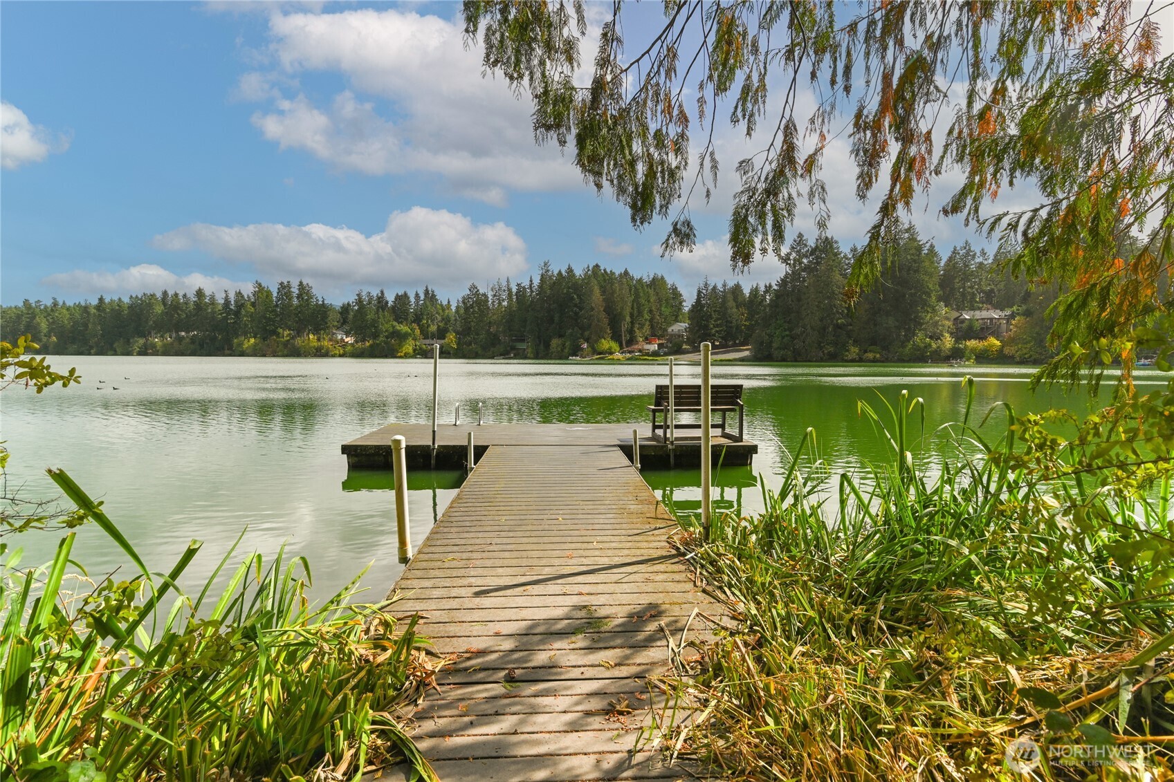 18415 Hames Street SE, Yelm, WA 98597