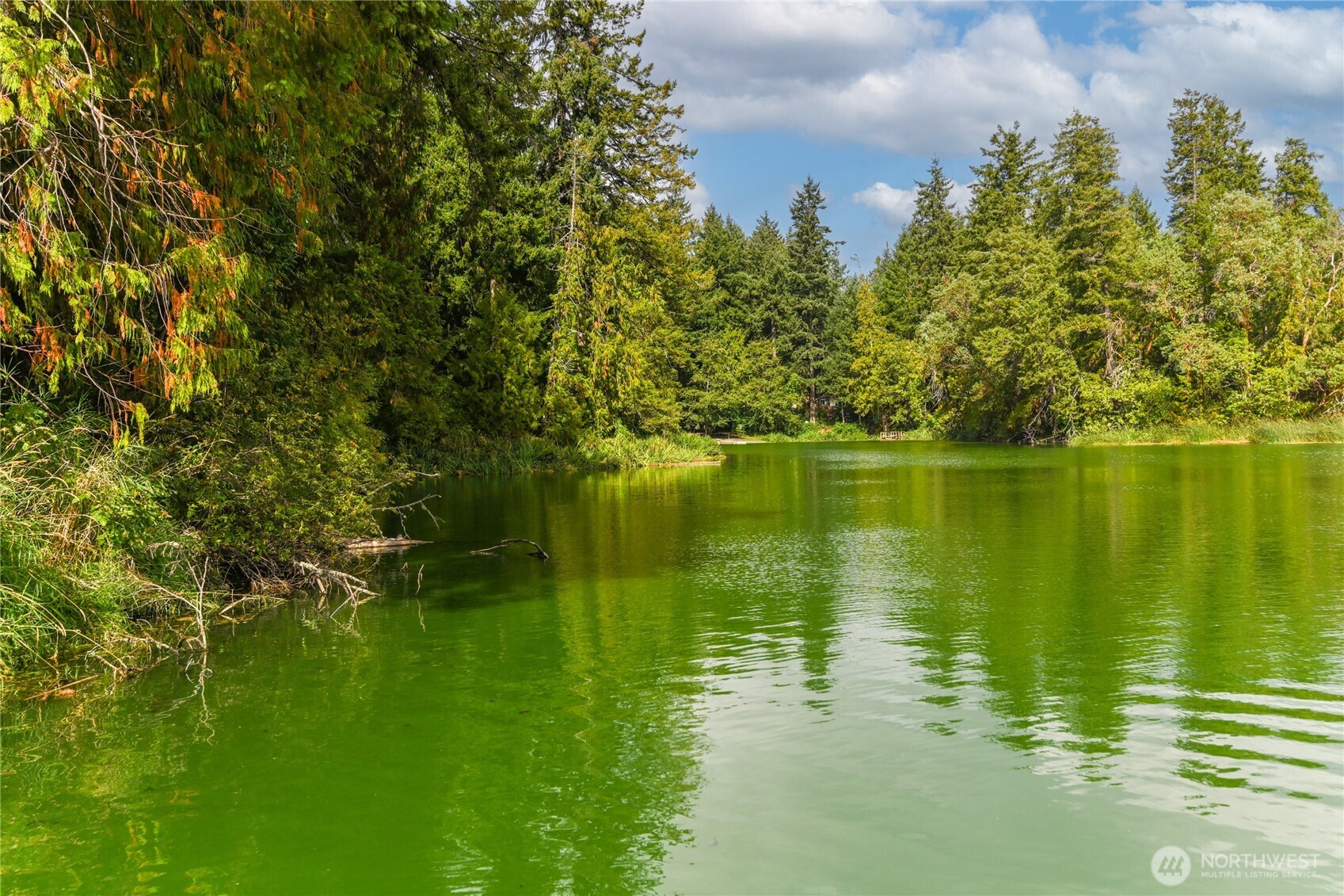 18415 Hames Street SE, Yelm, WA 98597