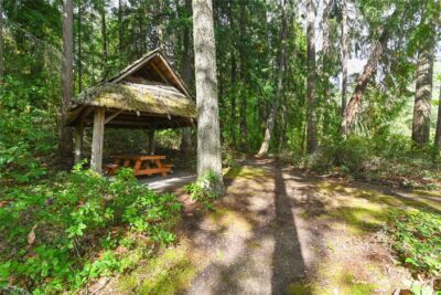 18415 Hames Street SE, Yelm, WA 98597 - Photo 33