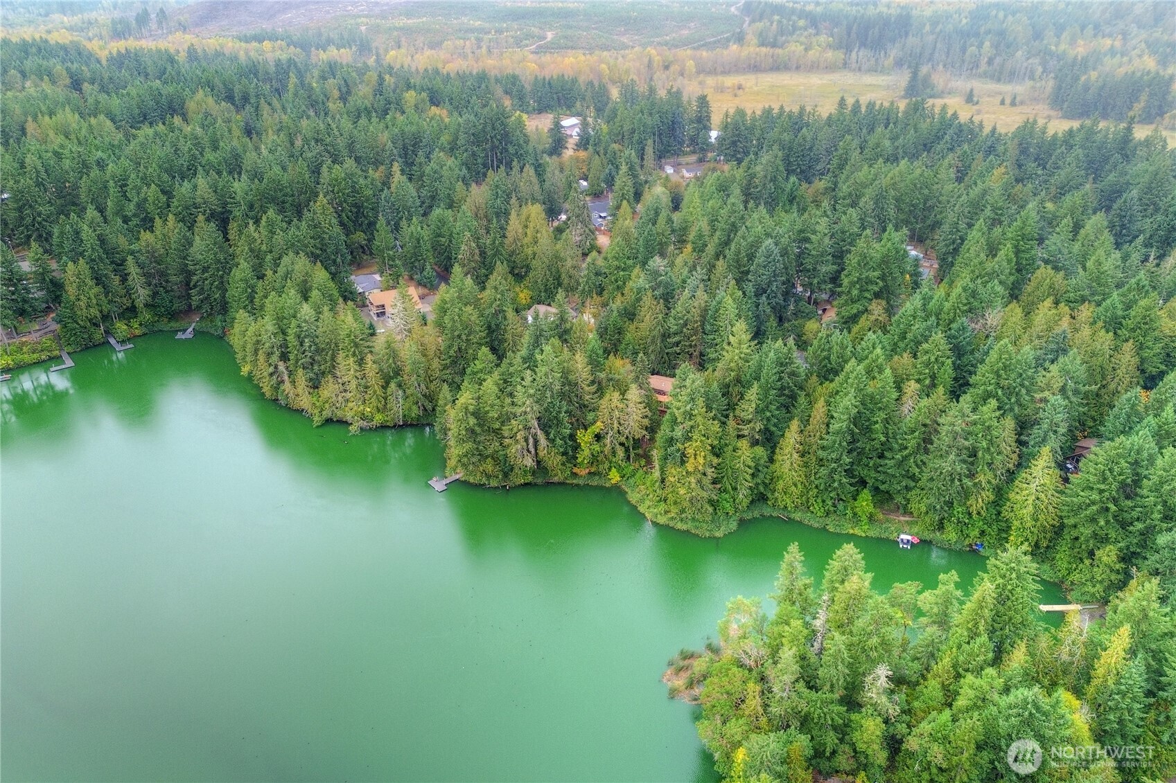 18415 Hames Street SE, Yelm, WA 98597