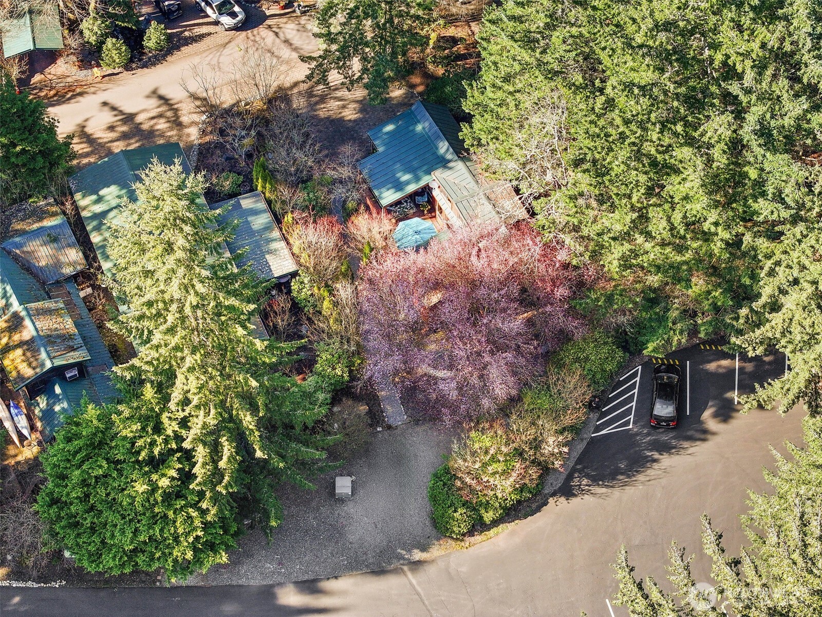 1546 Reservation Road SE #61, Olympia, WA 98513