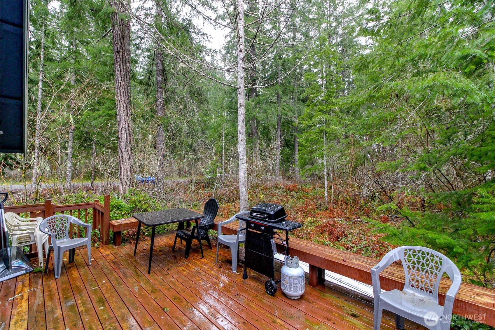 101 Mountain View Dr , Ashford, WA 98304