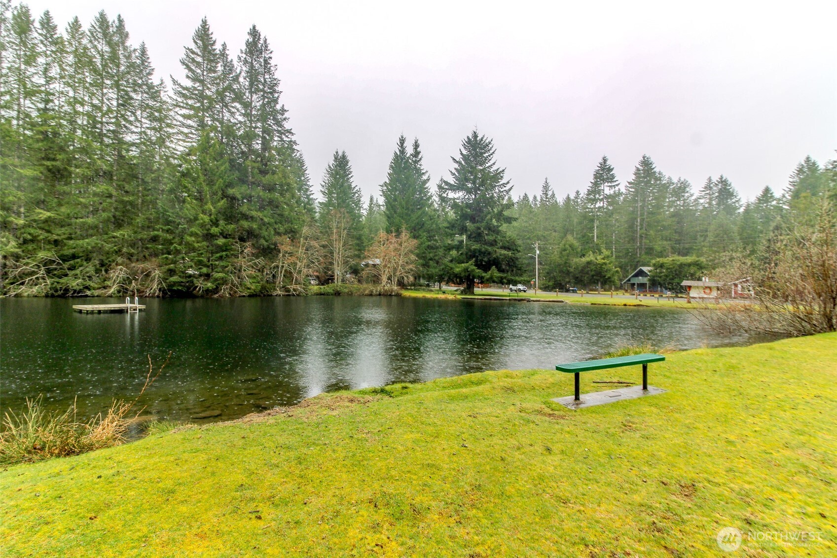 101 Mountain View Dr , Ashford, WA 98304