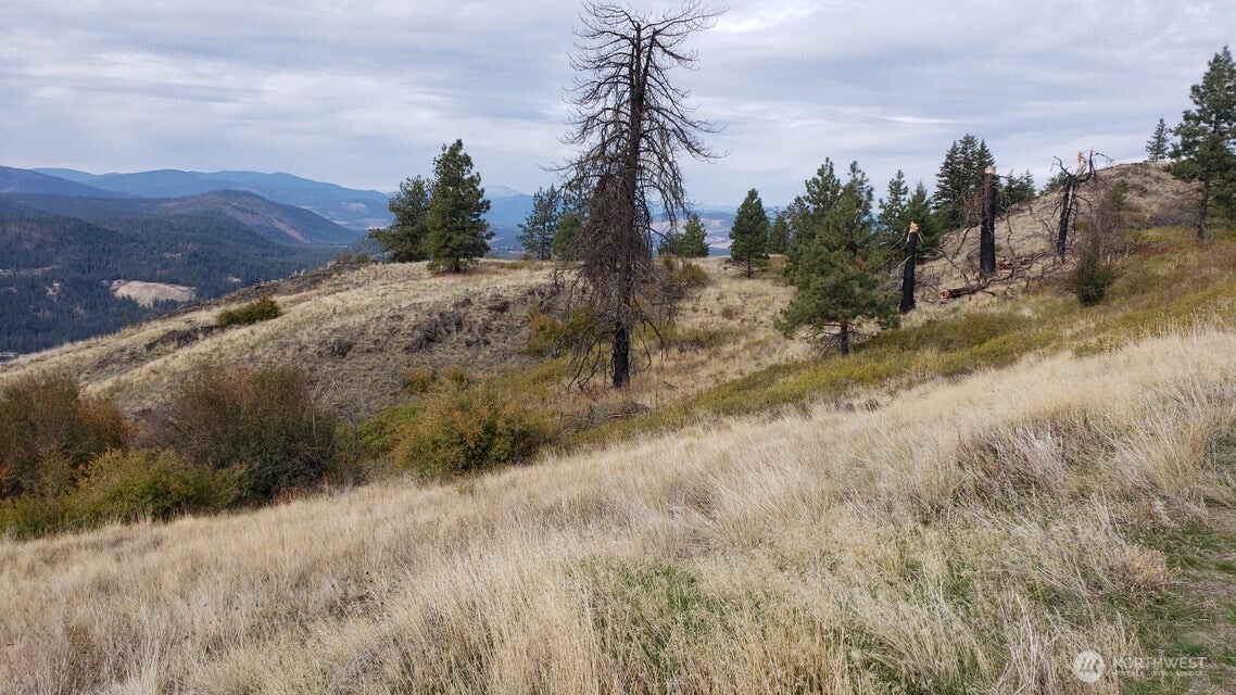 4100 Bissel Road , Hunters, WA 99137