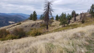 4100 Bissel Road , Hunters, WA 99137 - Photo 8