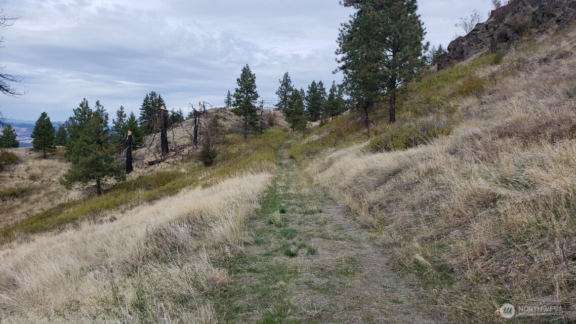 4100 Bissel Road , Hunters, WA 99137