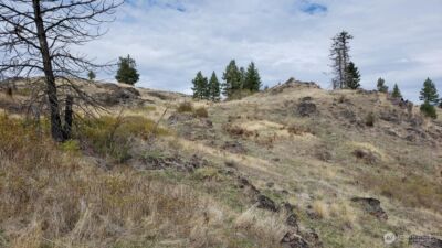 4100 Bissel Road , Hunters, WA 99137 - Photo 10