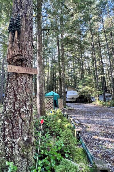 240 Shinn Canyon Drive , Deming, WA 98244 - Photo 2