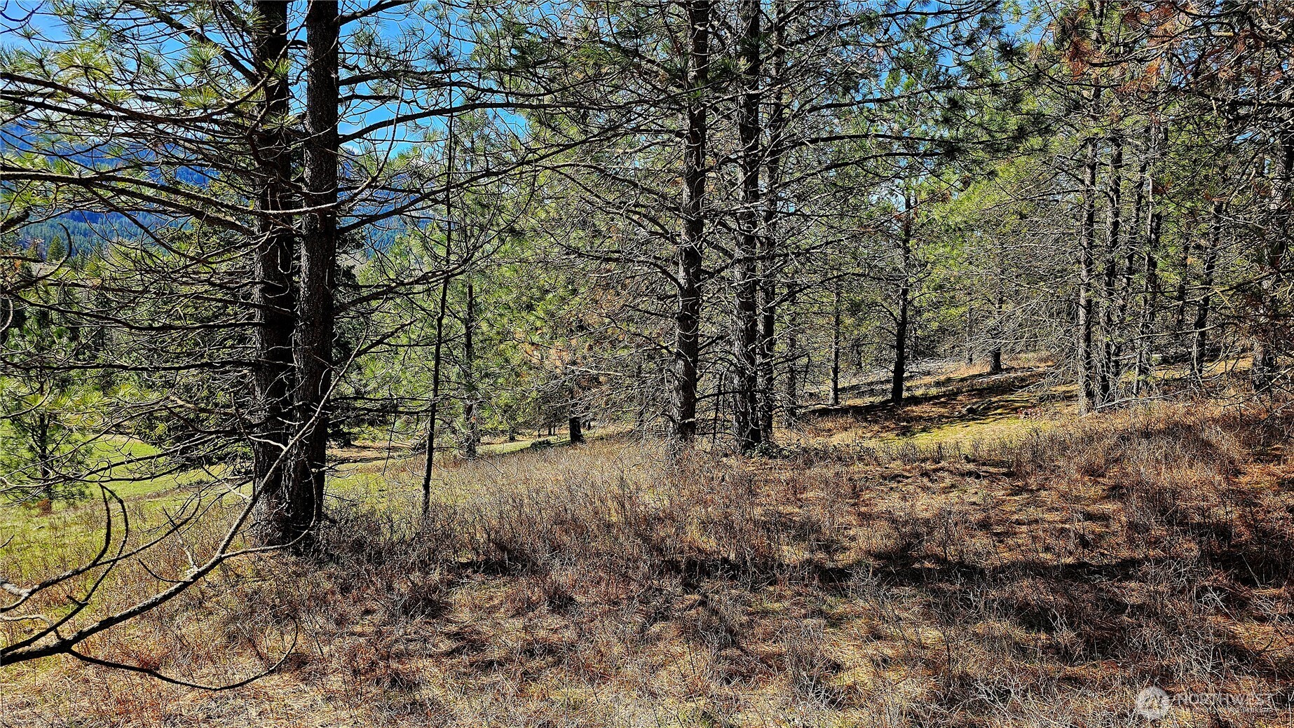 2068 Addy-Gifford Road , Addy, WA 99101