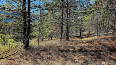 2068 Addy-Gifford Road , Addy, WA 99101 - Photo 11