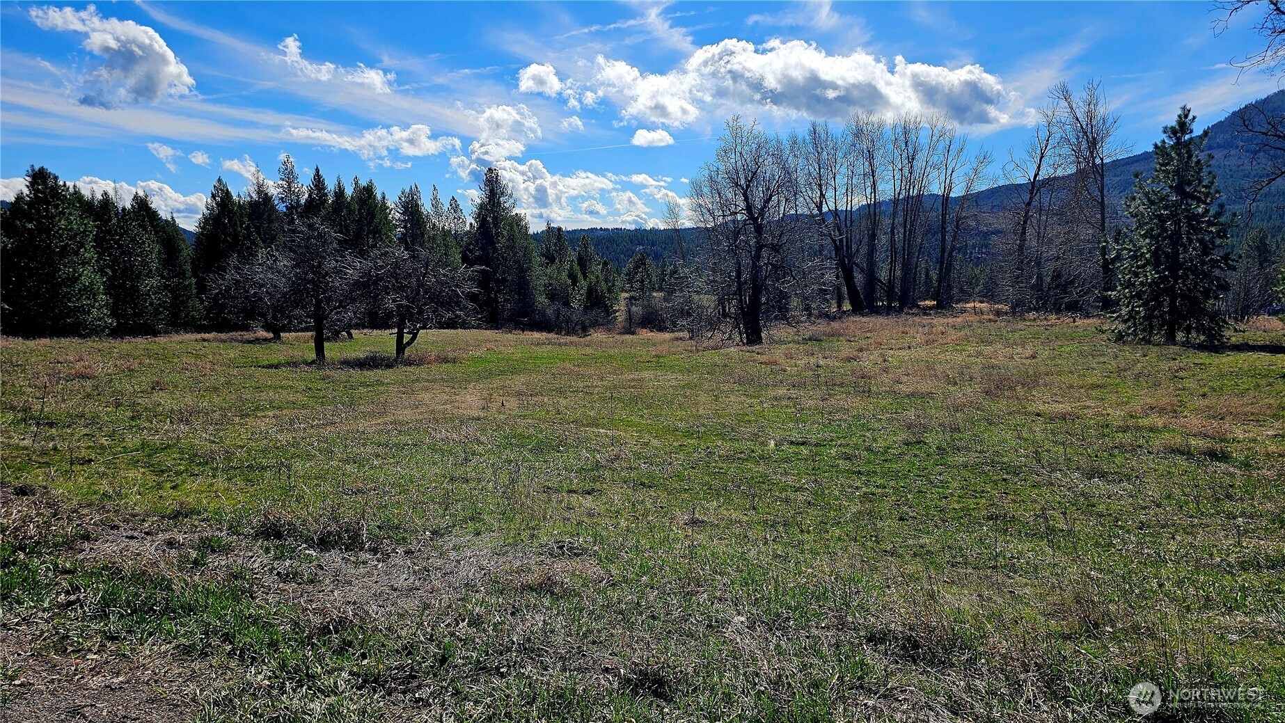 2068 Addy-Gifford Road , Addy, WA 99101