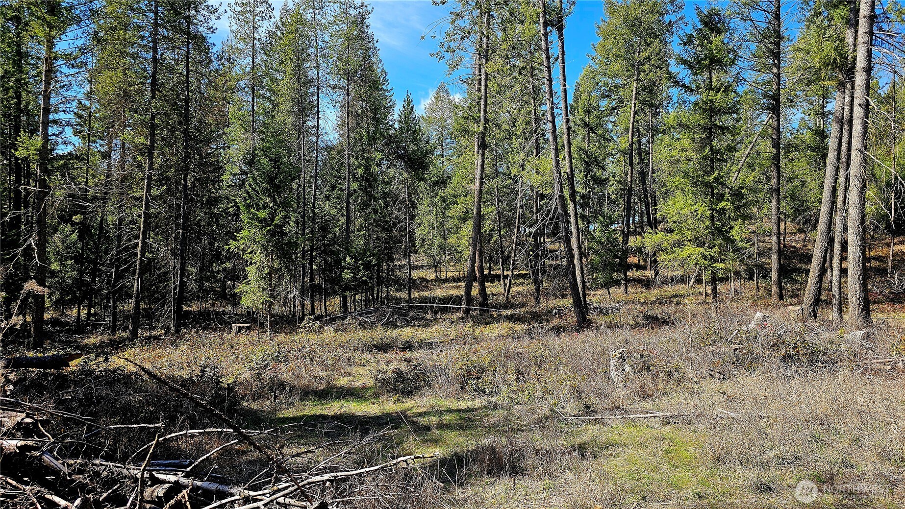 2068 Addy-Gifford Road , Addy, WA 99101