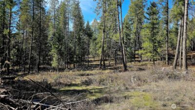 2068 Addy-Gifford Road , Addy, WA 99101 - Photo 15