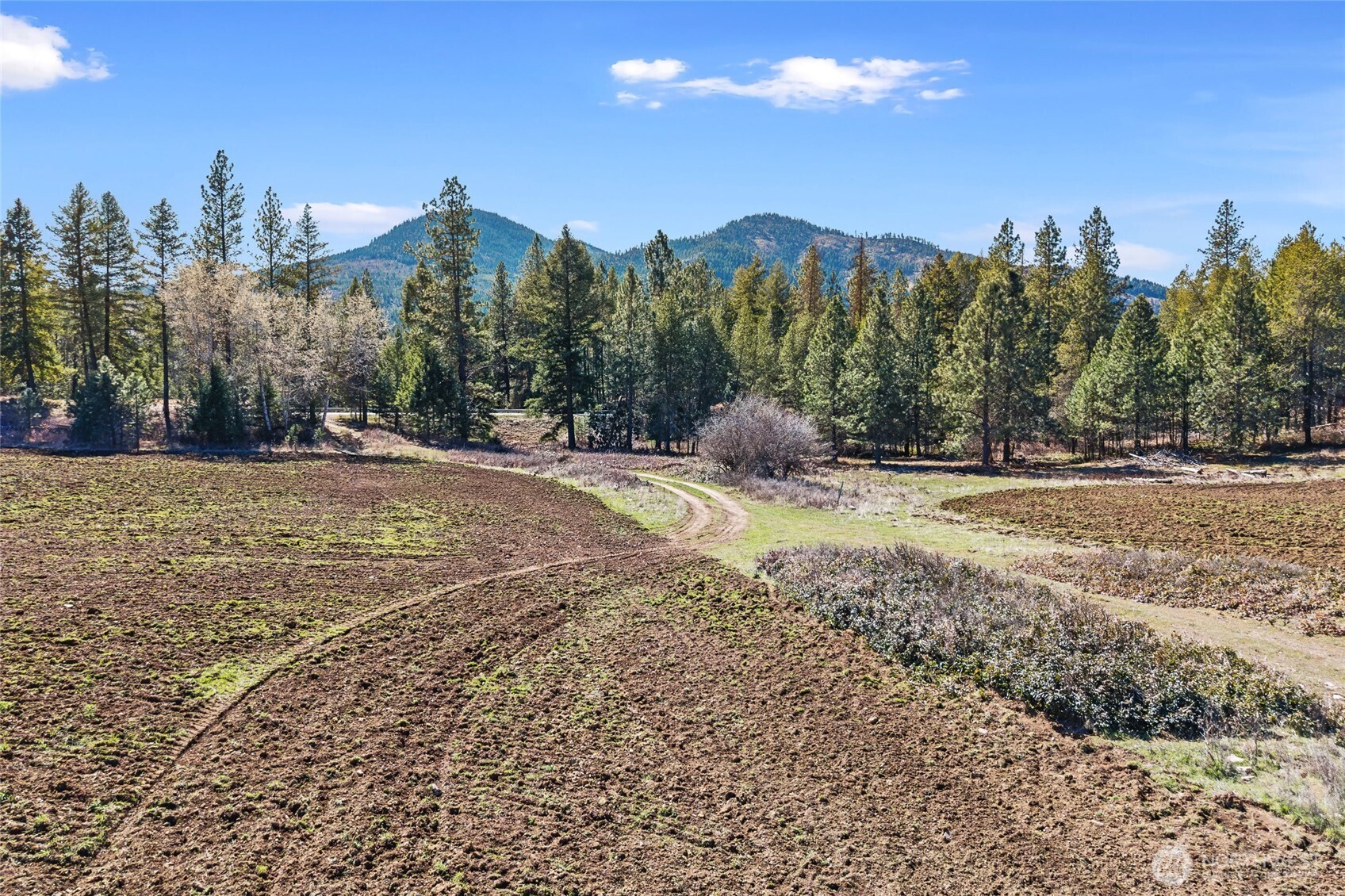 2068 Addy-Gifford Road , Addy, WA 99101