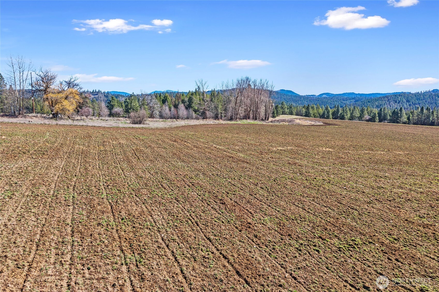 2068 Addy-Gifford Road , Addy, WA 99101