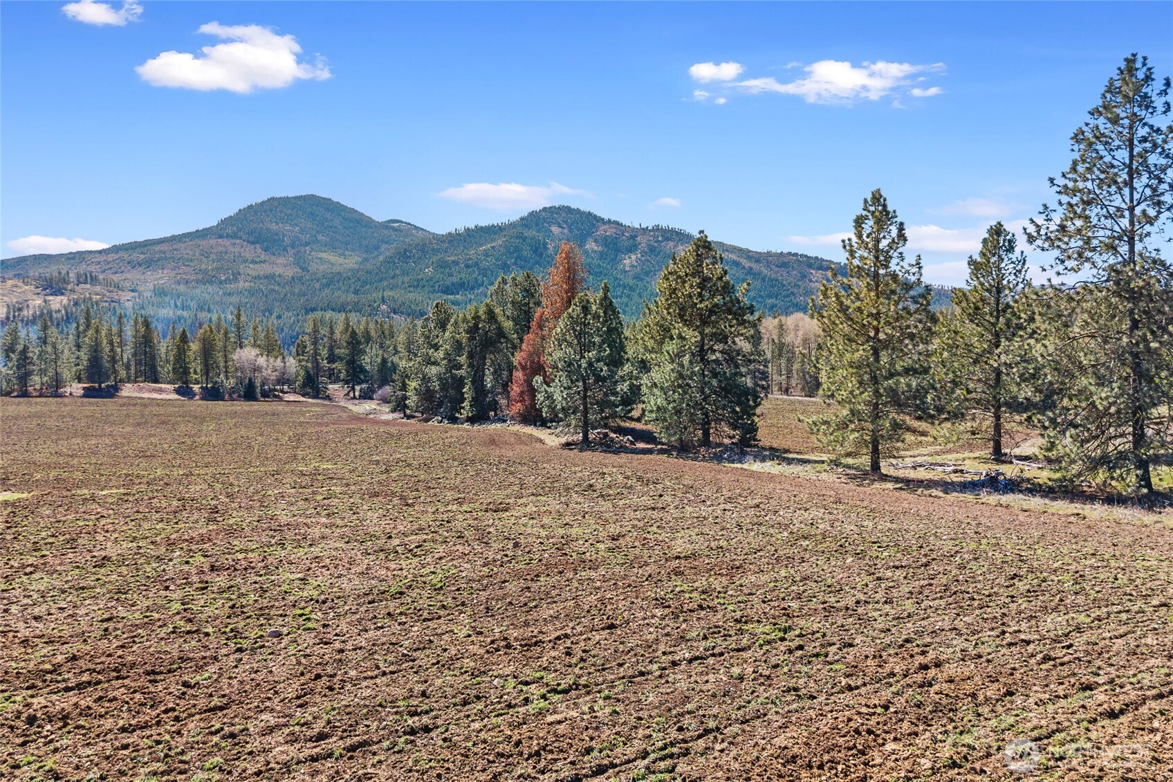 2068 Addy-Gifford Road , Addy, WA 99101