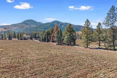 2068 Addy-Gifford Road , Addy, WA 99101 - Photo 31