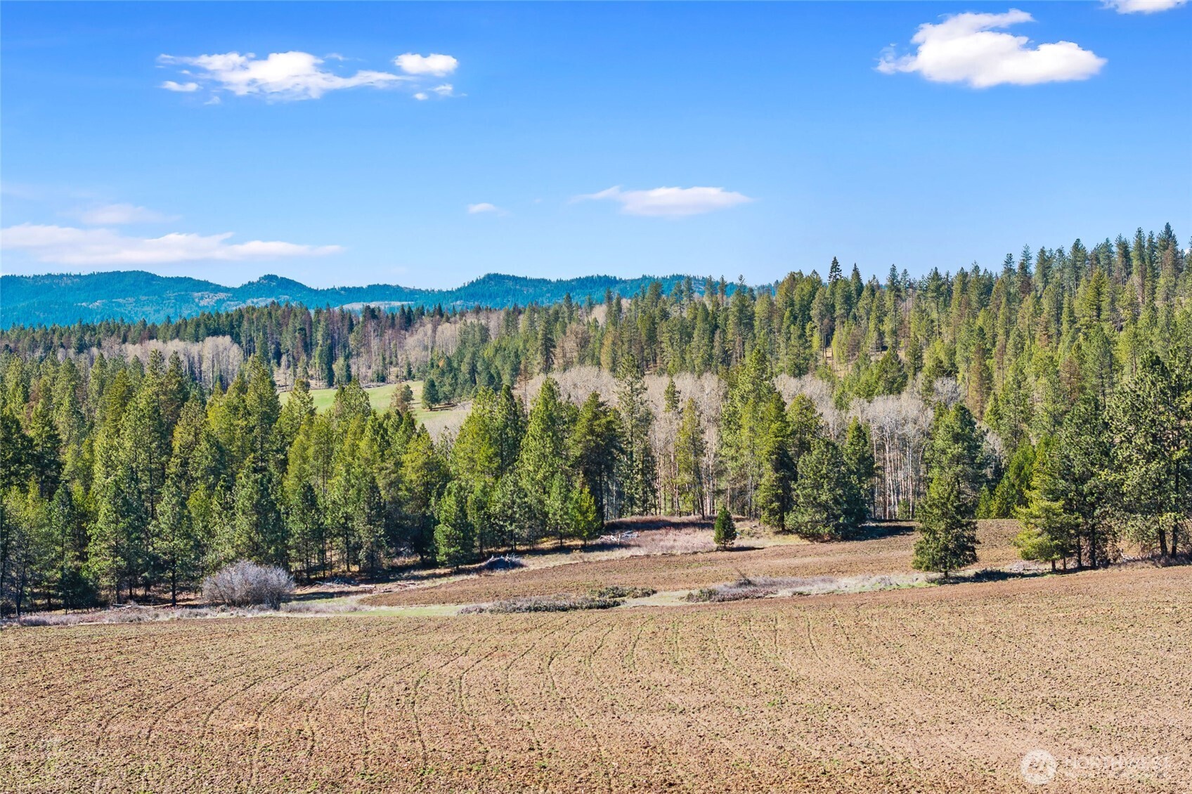 2068 Addy-Gifford Road , Addy, WA 99101