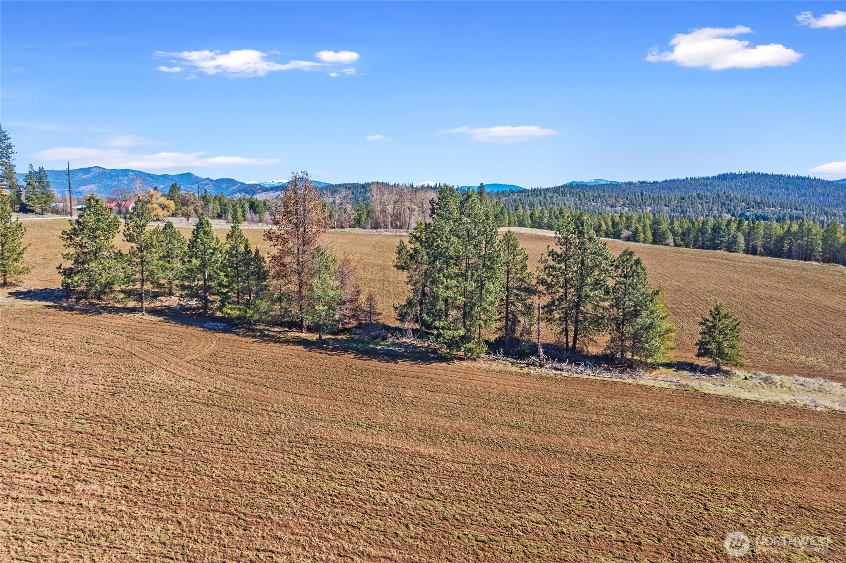 2068 Addy-Gifford Road , Addy, WA 99101