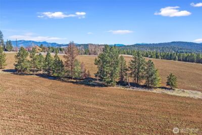 2068 Addy-Gifford Road , Addy, WA 99101 - Photo 33