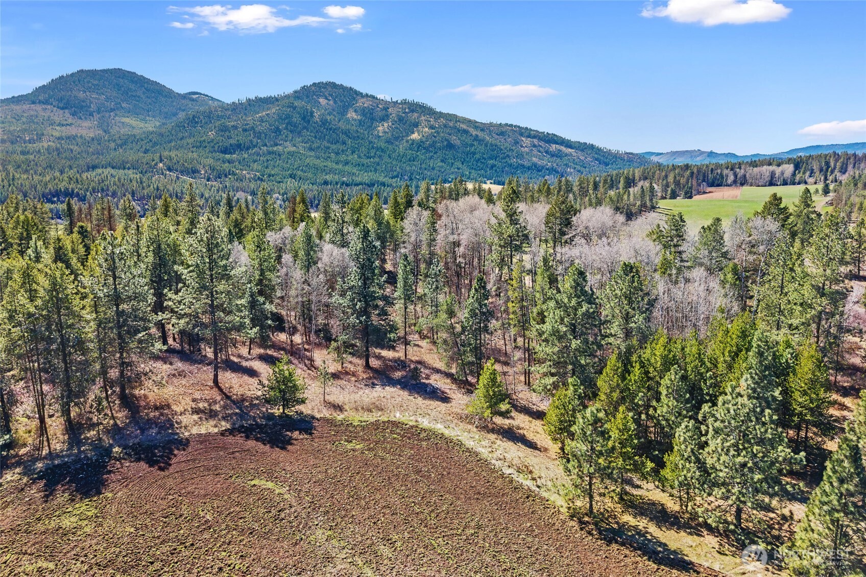 2068 Addy-Gifford Road , Addy, WA 99101