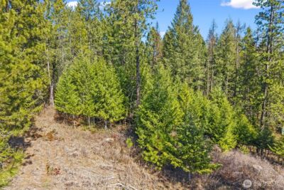 2068 Addy-Gifford Road , Addy, WA 99101 - Photo 37