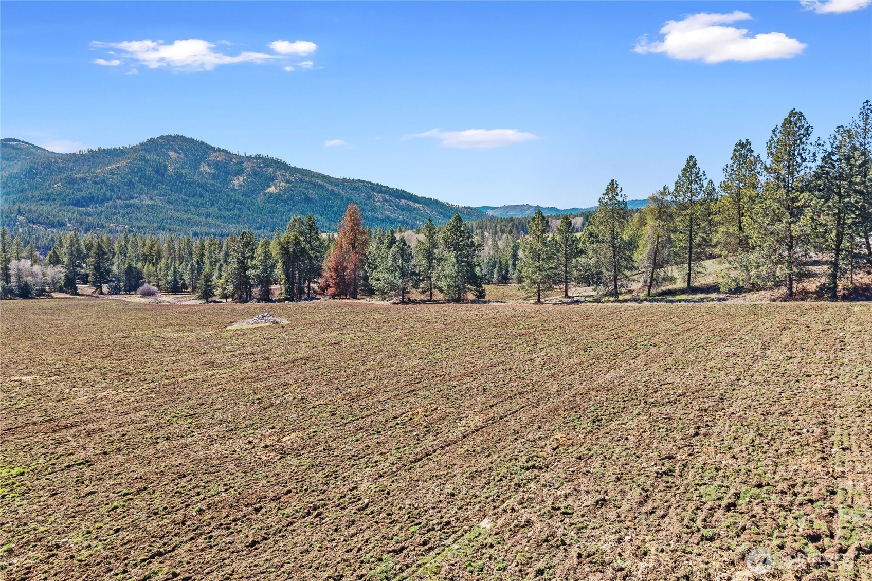 2068 Addy-Gifford Road , Addy, WA 99101