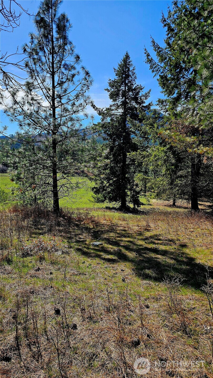 2068 Addy-Gifford Road , Addy, WA 99101