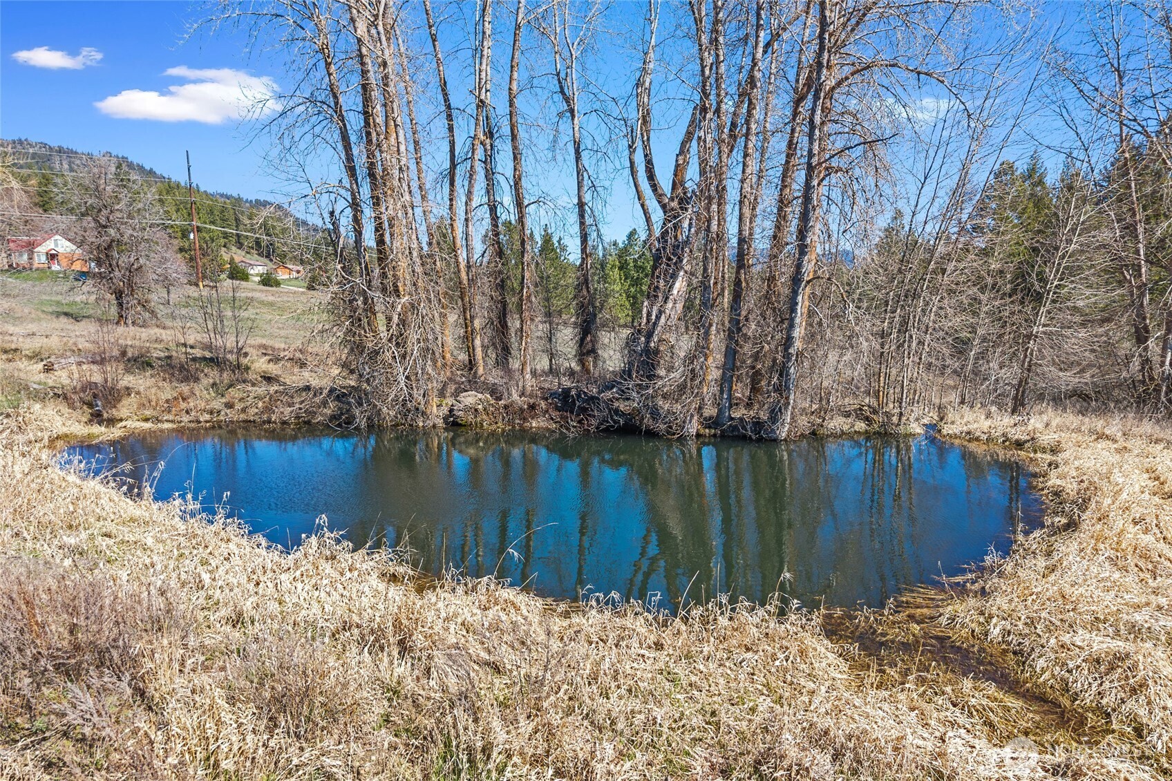 2068 Addy-Gifford Road , Addy, WA 99101