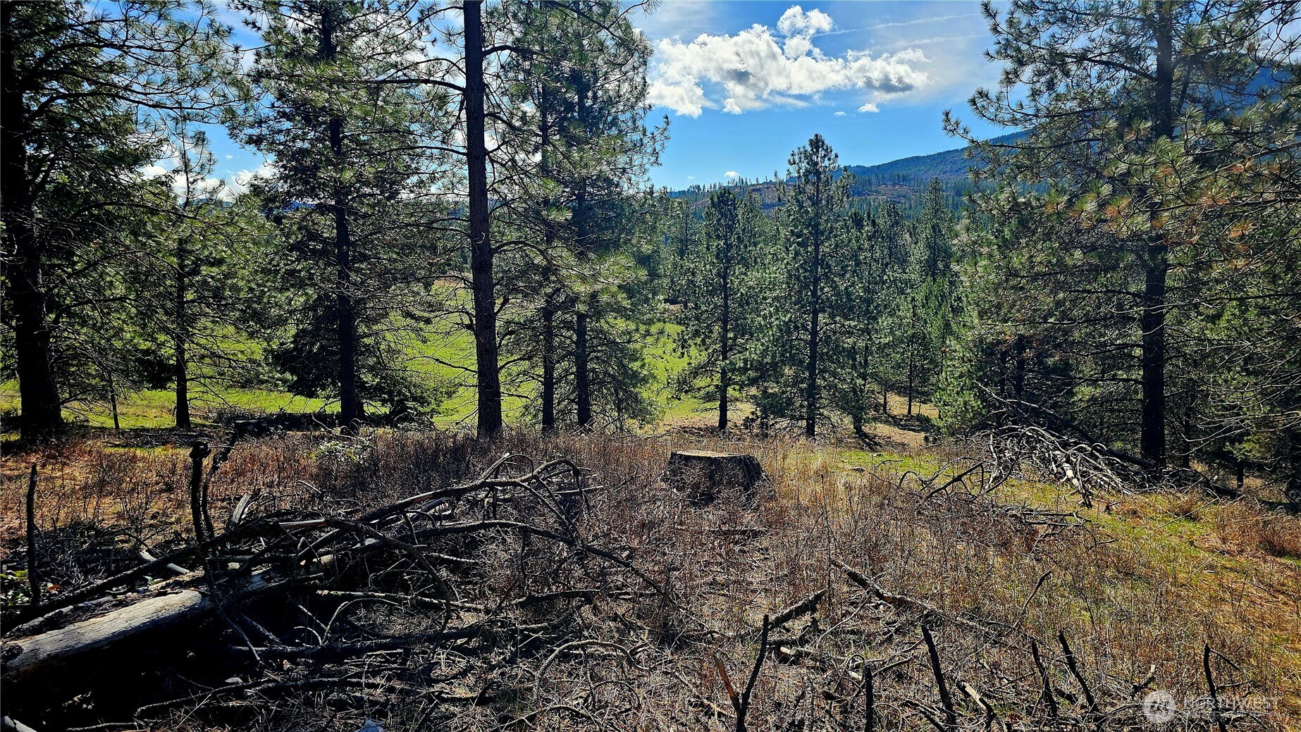 2068 Addy-Gifford Road , Addy, WA 99101