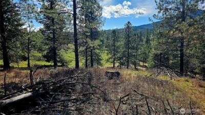 2068 Addy-Gifford Road , Addy, WA 99101 - Photo 7