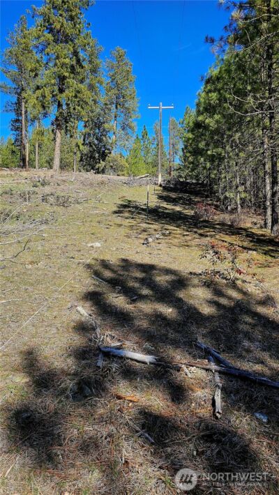 2068 Addy-Gifford Road , Addy, WA 99101 - Photo 9