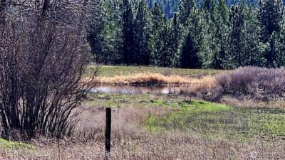 2068 Addy-Gifford Road , Addy, WA 99101 - Photo 10