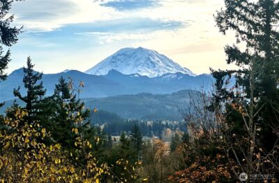 27339 SE 403rd Street , Enumclaw, WA 98022