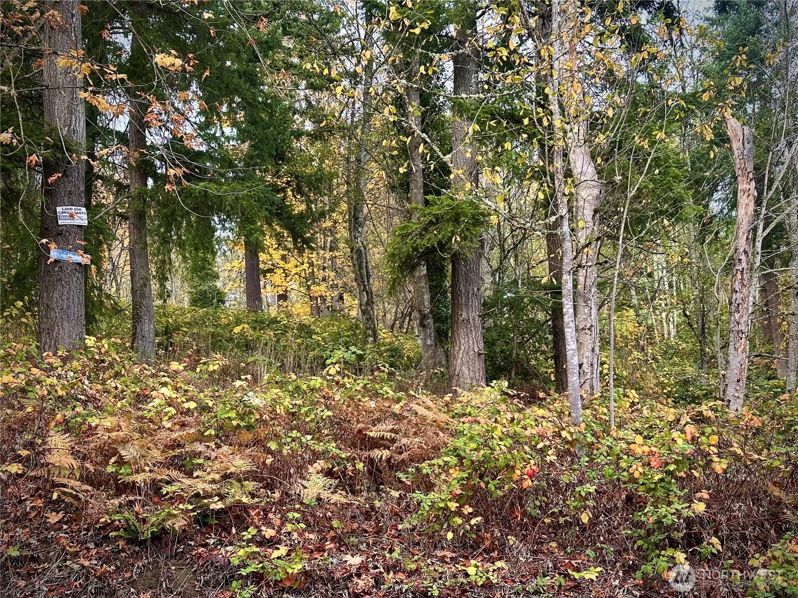27339 SE 403rd Street , Enumclaw, WA 98022