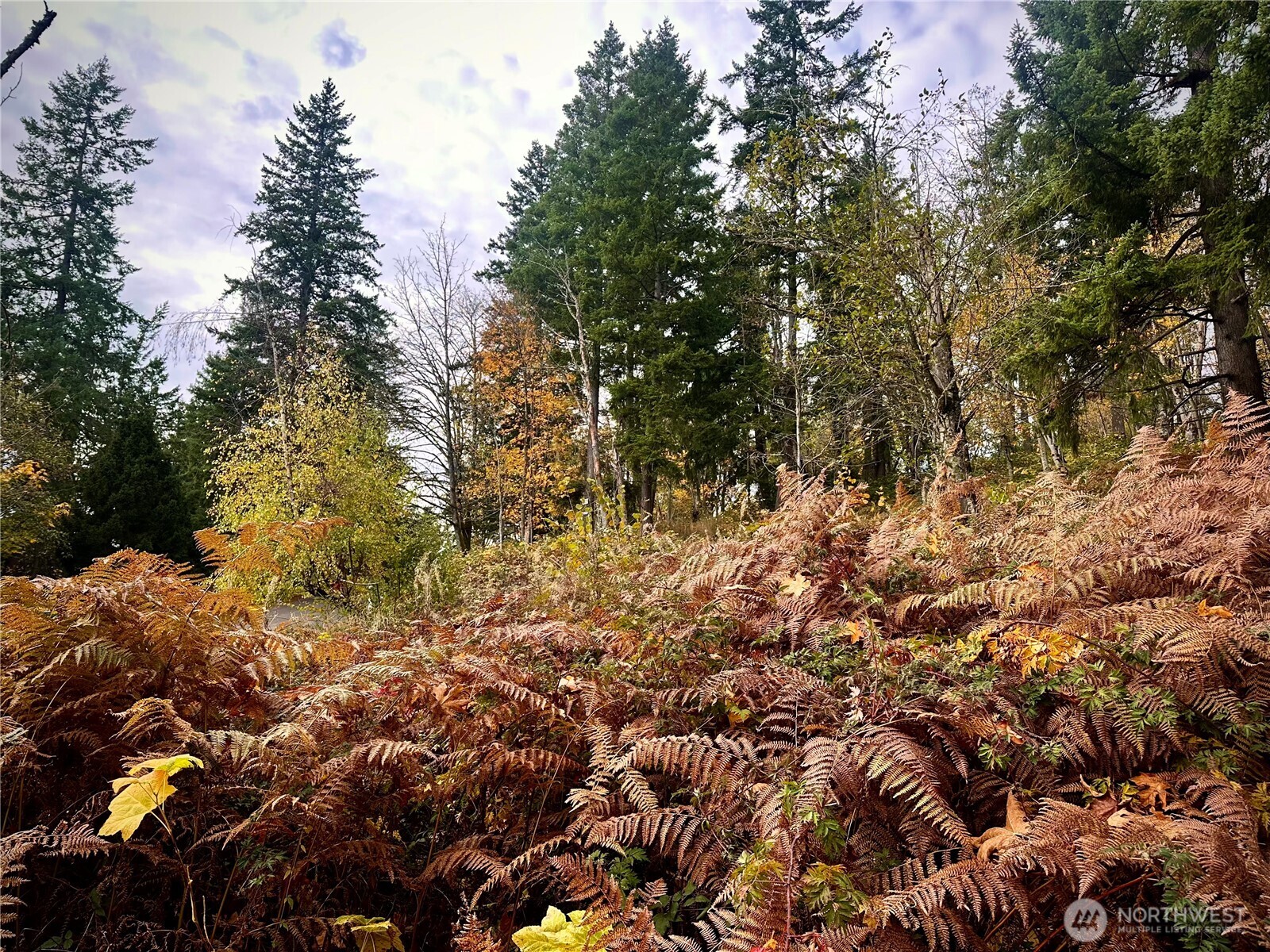27339 SE 403rd Street , Enumclaw, WA 98022