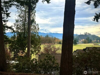 27339 SE 403rd Street , Enumclaw, WA 98022 - Photo 5