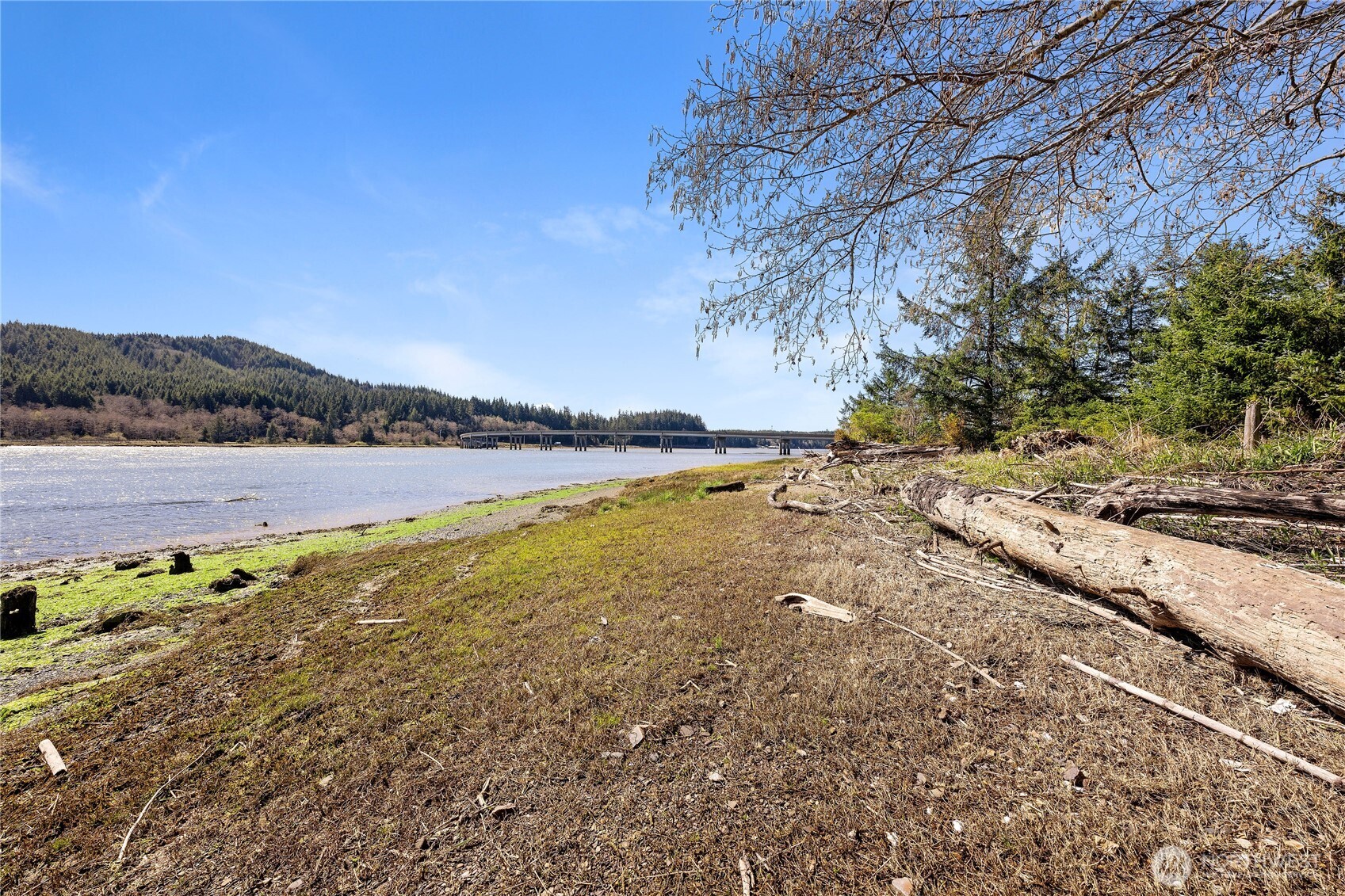 64 Mill Ranch Rd , Naselle, WA 98638