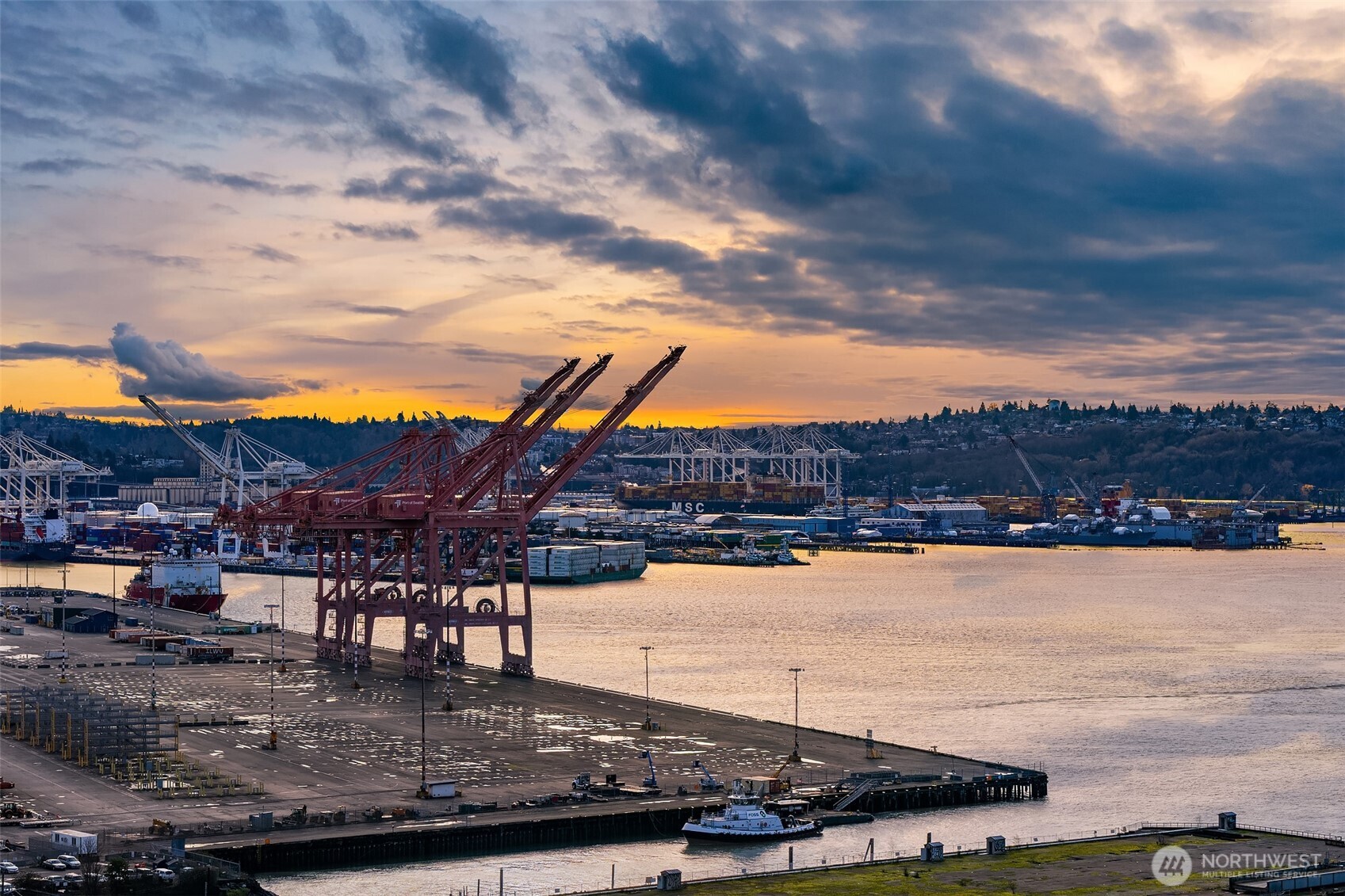 715 2nd Avenue #1501, Seattle, WA 98104