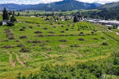 1 Ludwig Hill Rd , Peshastin, WA 98847 - Photo 19