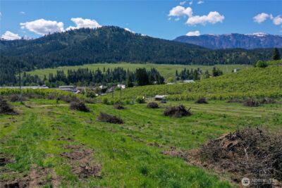 1 Ludwig Hill Rd , Peshastin, WA 98847 - Photo 24