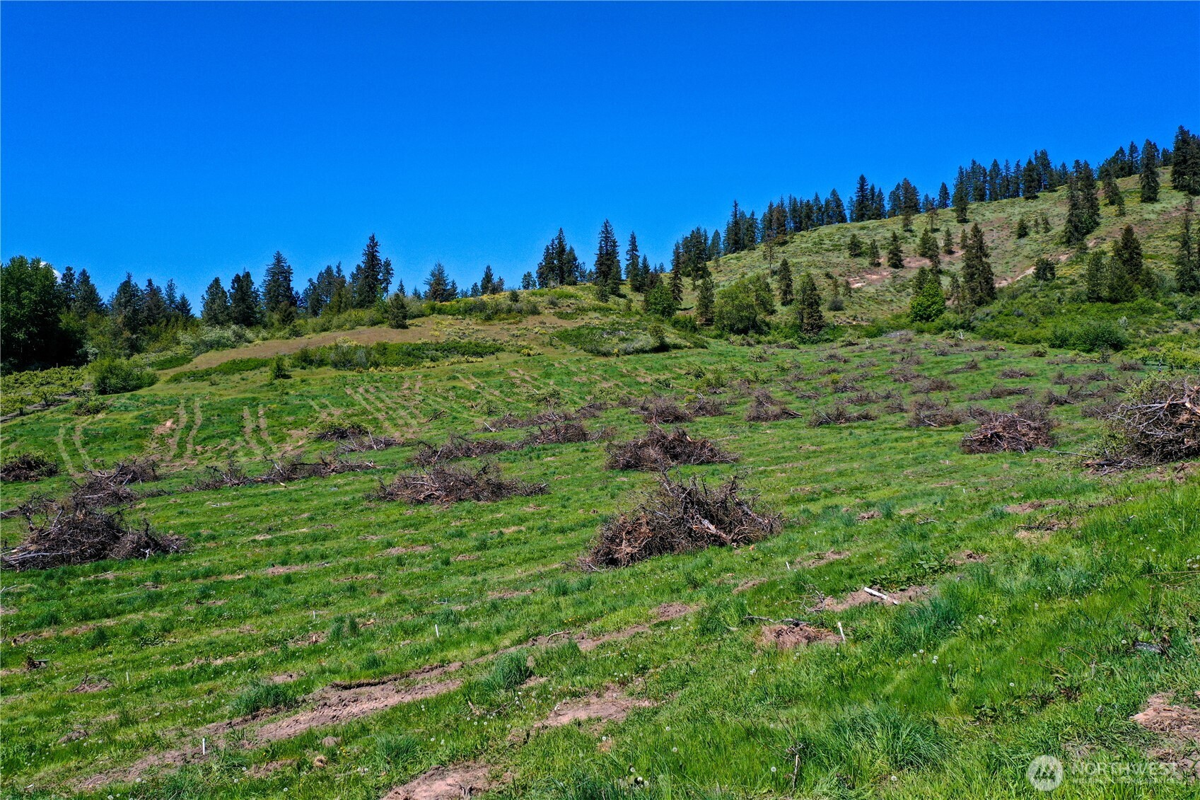 1 Ludwig Hill Rd , Peshastin, WA 98847