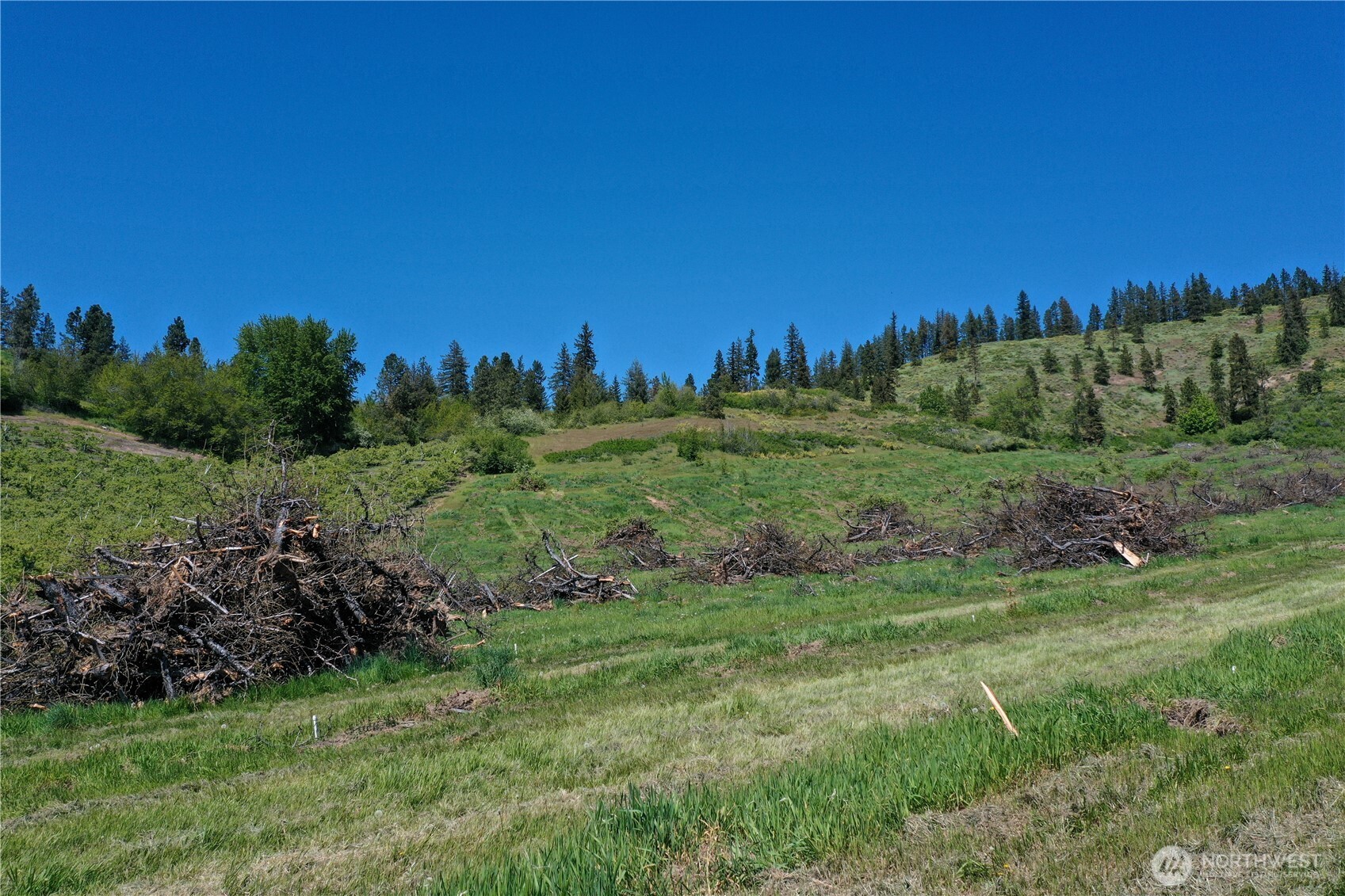 1 Ludwig Hill Rd , Peshastin, WA 98847