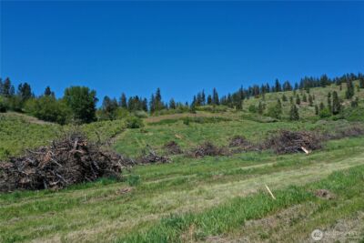 1 Ludwig Hill Rd , Peshastin, WA 98847 - Photo 27