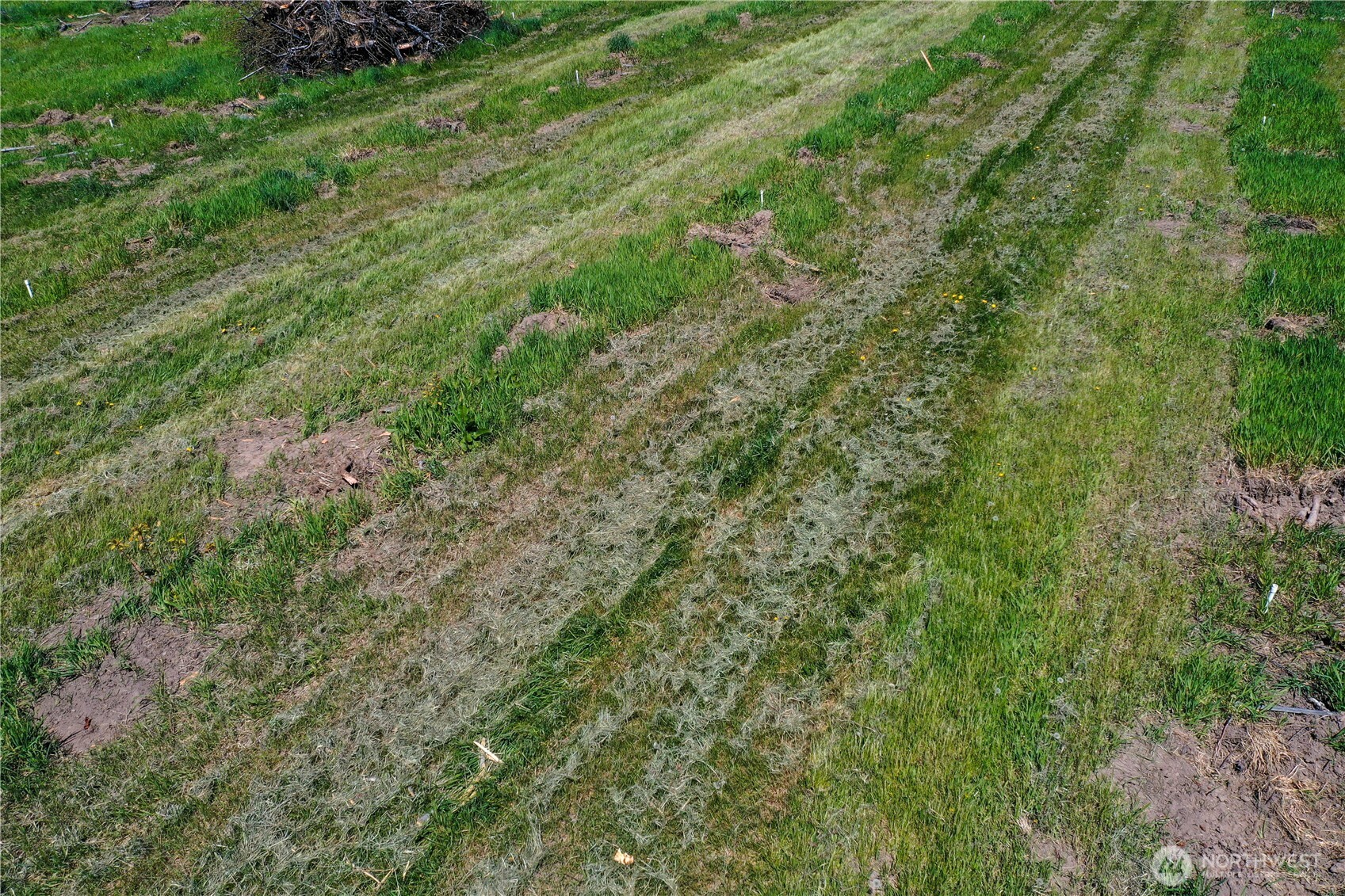 1 Ludwig Hill Rd , Peshastin, WA 98847