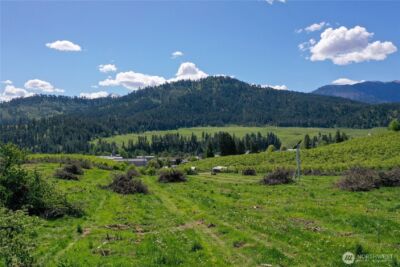 1 Ludwig Hill Rd , Peshastin, WA 98847 - Photo 34