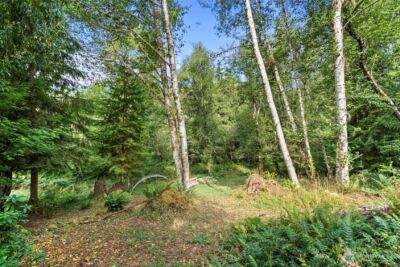 886 21 Salmon Creek Road #21, Mossyrock, WA 98564 - Photo 36