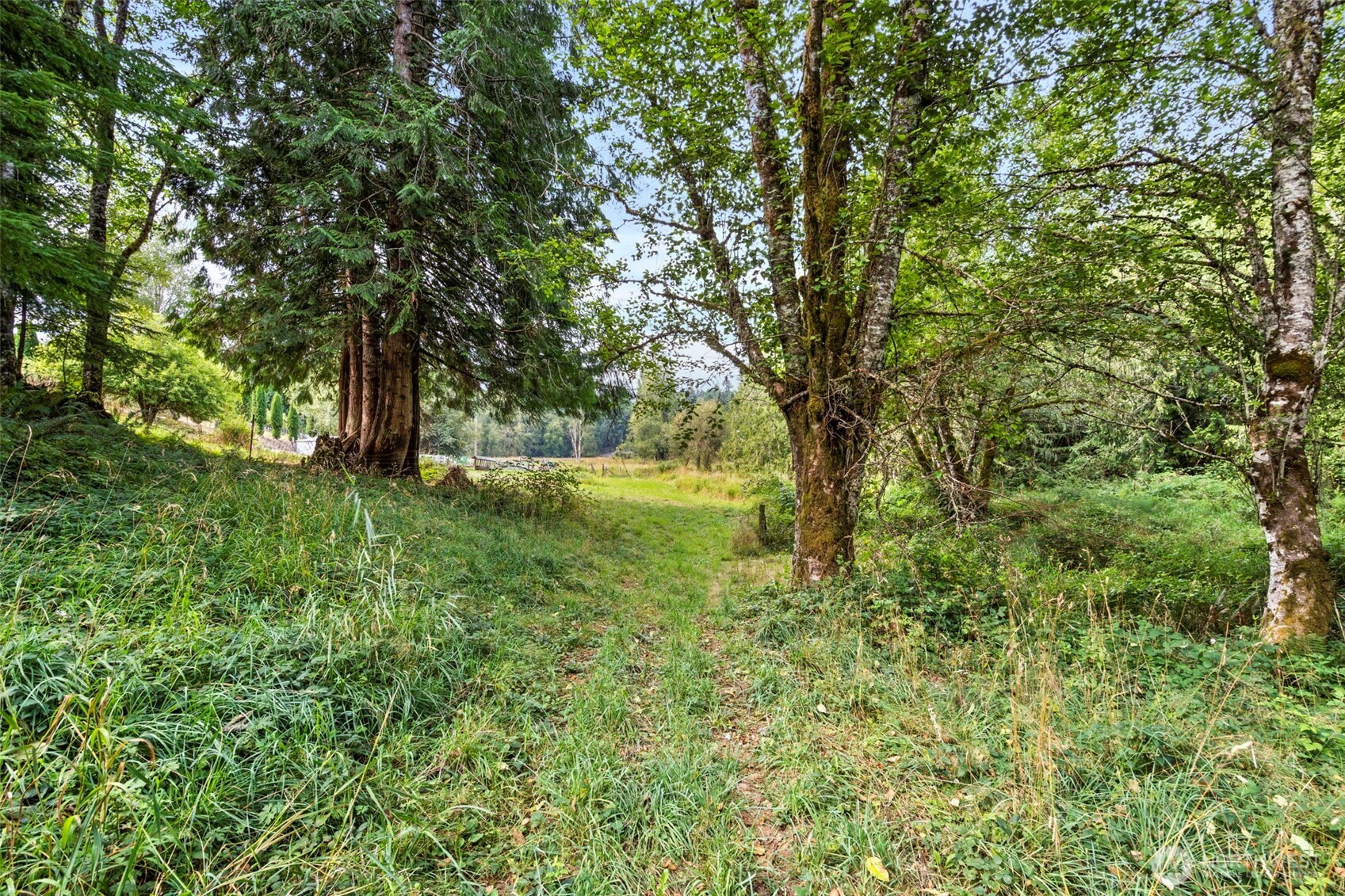 886 21 Salmon Creek Road #21, Mossyrock, WA 98564